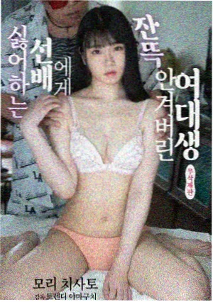 南城档案剧集封面